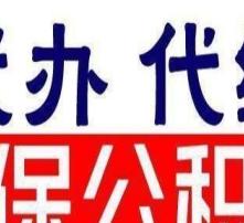 高清图片代理代办 专业服务助力视觉需求